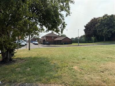 Picture 11